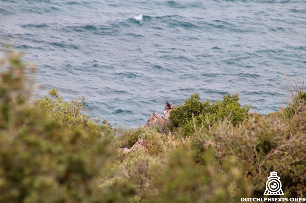 Ontdek de Prachtige Routes van Lesbos: Petra naar&nbsp;Molyvos