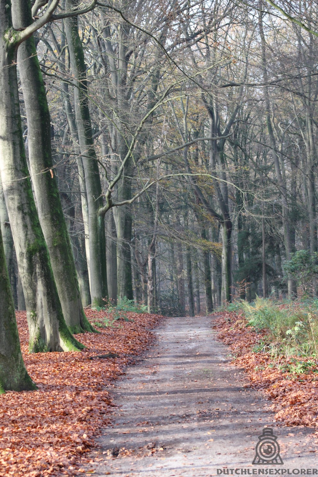 Stilte als Mijn Nieuwe&nbsp;Start