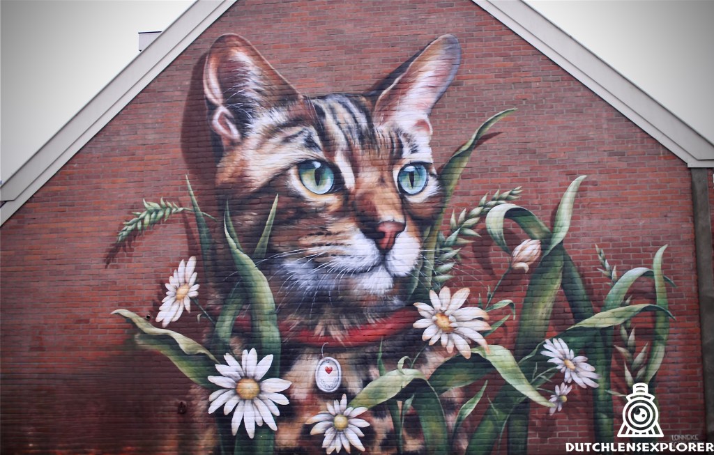 Street Art Tour Assendorp&nbsp;Zwolle