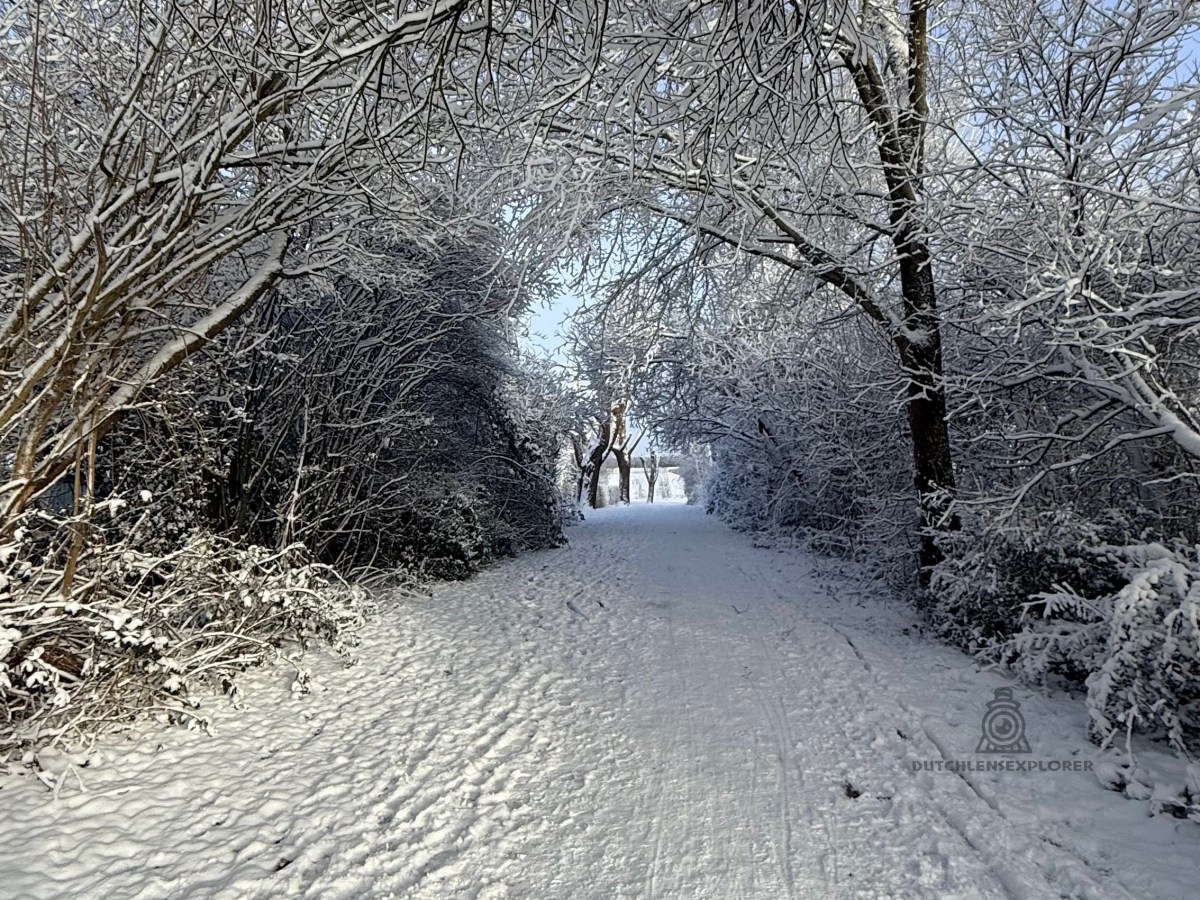 Dronten onder een Witte&nbsp;Deken